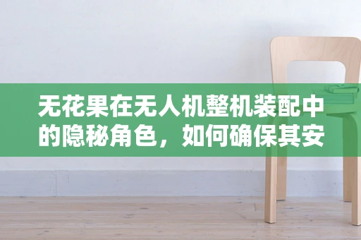 无花果在无人机整机装配中的隐秘角色，如何确保其安全融入设计？