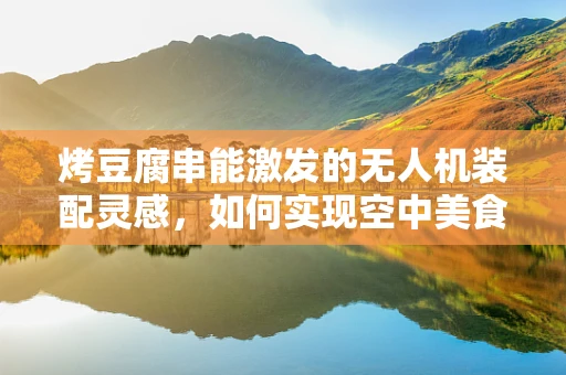 烤豆腐串能激发的无人机装配灵感，如何实现空中美食配送新体验？
