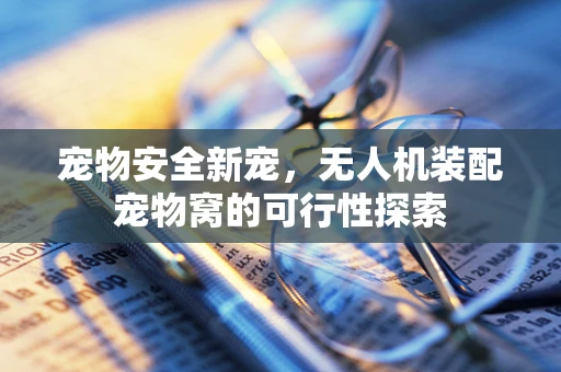 宠物安全新宠，无人机装配宠物窝的可行性探索