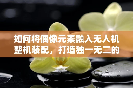 如何将偶像元素融入无人机整机装配，打造独一无二的飞行艺术品？