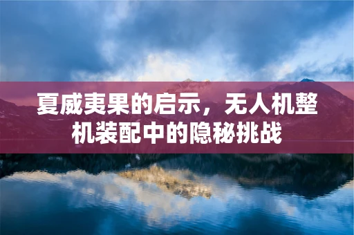 夏威夷果的启示，无人机整机装配中的隐秘挑战