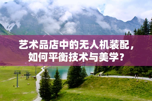 艺术品店中的无人机装配，如何平衡技术与美学？