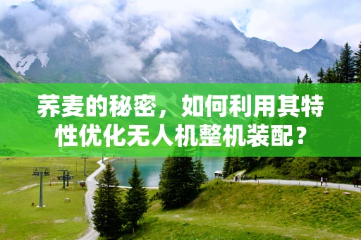 荞麦的秘密，如何利用其特性优化无人机整机装配？