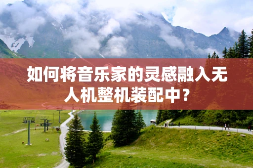 如何将音乐家的灵感融入无人机整机装配中？