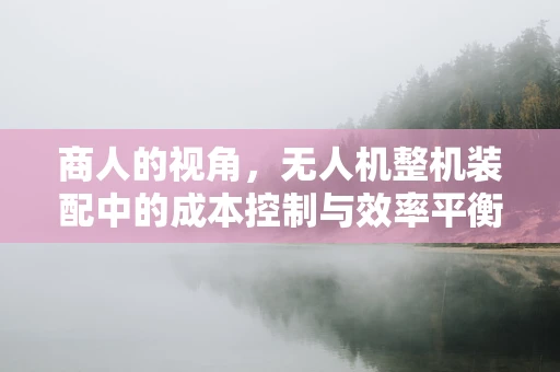 商人的视角，无人机整机装配中的成本控制与效率平衡