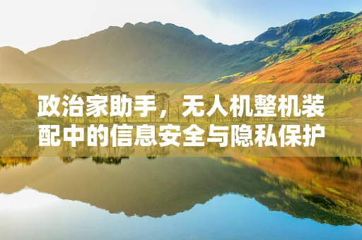政治家助手，无人机整机装配中的信息安全与隐私保护