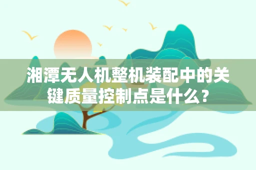 湘潭无人机整机装配中的关键质量控制点是什么？