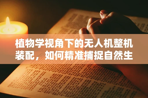 植物学视角下的无人机整机装配，如何精准捕捉自然生态的微妙细节？