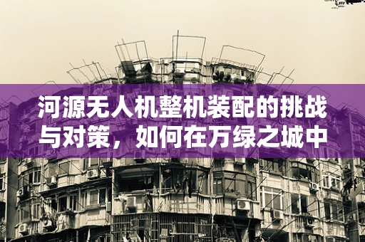 河源无人机整机装配的挑战与对策，如何在万绿之城中精准对接未来