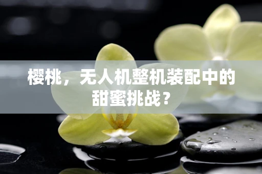 樱桃，无人机整机装配中的甜蜜挑战？