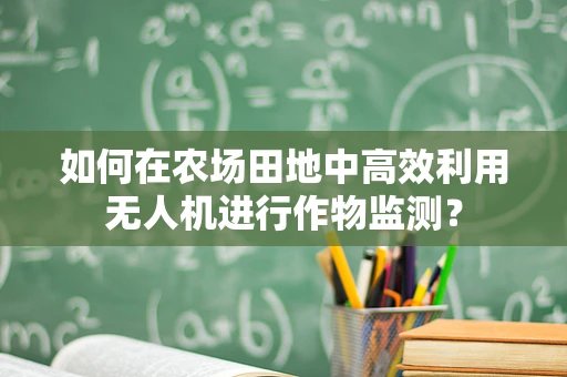 如何在农场田地中高效利用无人机进行作物监测？