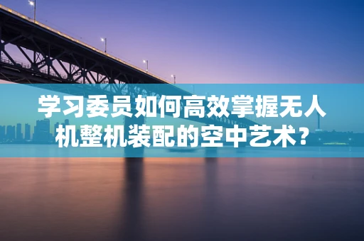 学习委员如何高效掌握无人机整机装配的空中艺术？