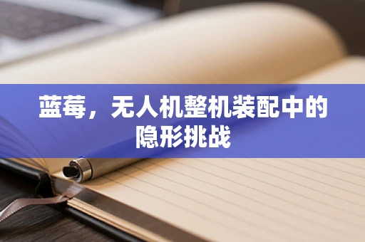 蓝莓，无人机整机装配中的隐形挑战