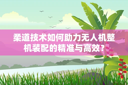 柔道技术如何助力无人机整机装配的精准与高效？