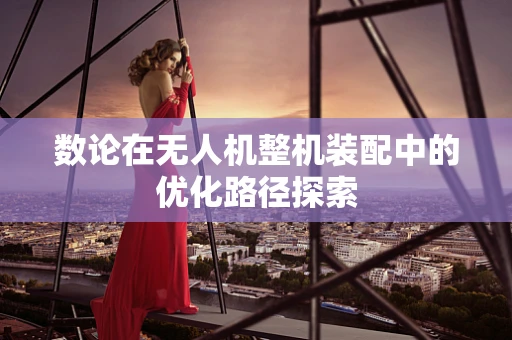 数论在无人机整机装配中的优化路径探索