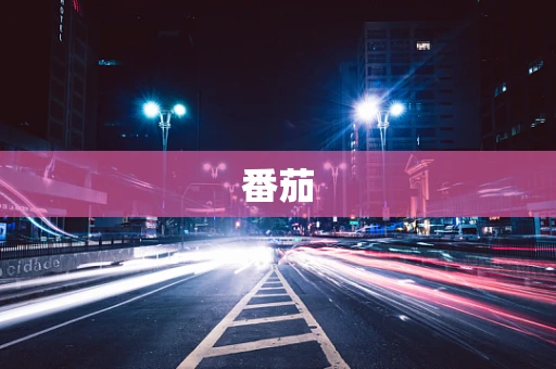 番茄