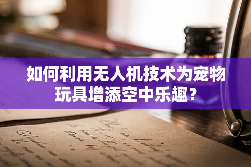 如何利用无人机技术为宠物玩具增添空中乐趣？