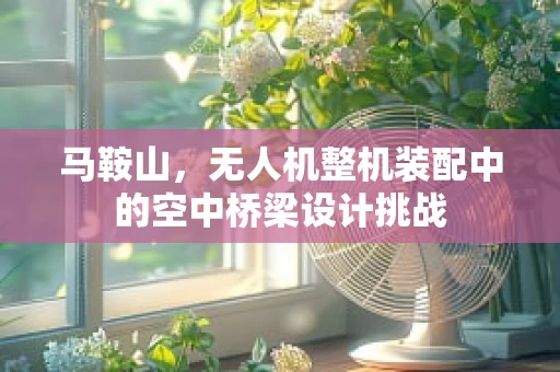 马鞍山，无人机整机装配中的空中桥梁设计挑战