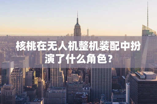 核桃在无人机整机装配中扮演了什么角色？