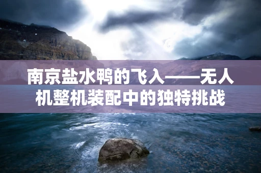 南京盐水鸭的飞入——无人机整机装配中的独特挑战