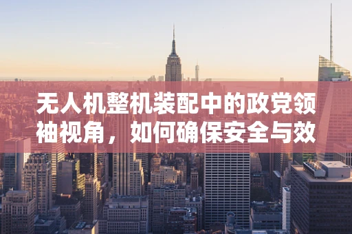 无人机整机装配中的政党领袖视角，如何确保安全与效率的完美融合？