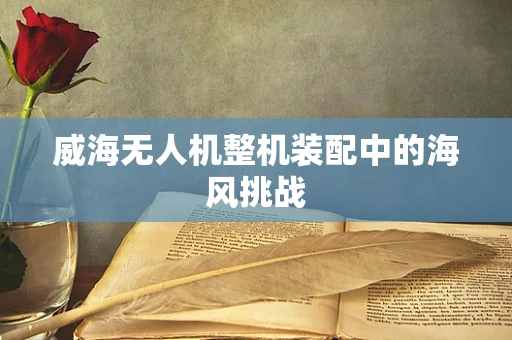 威海无人机整机装配中的海风挑战
