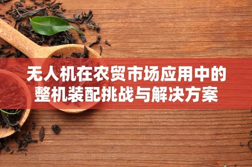 无人机在农贸市场应用中的整机装配挑战与解决方案