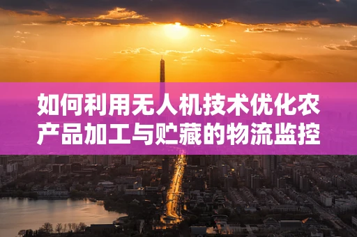 如何利用无人机技术优化农产品加工与贮藏的物流监控？