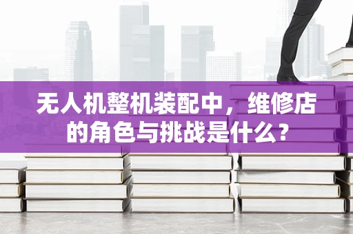 无人机整机装配中，维修店的角色与挑战是什么？