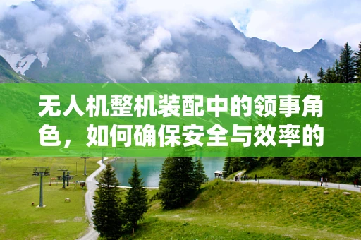 无人机整机装配中的领事角色，如何确保安全与效率的双重保障？