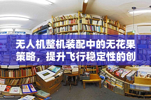 无人机整机装配中的无花果策略，提升飞行稳定性的创新思考