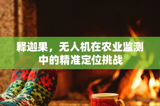 释迦果，无人机在农业监测中的精准定位挑战