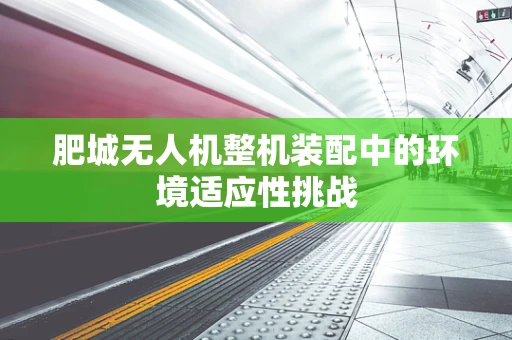 肥城无人机整机装配中的环境适应性挑战