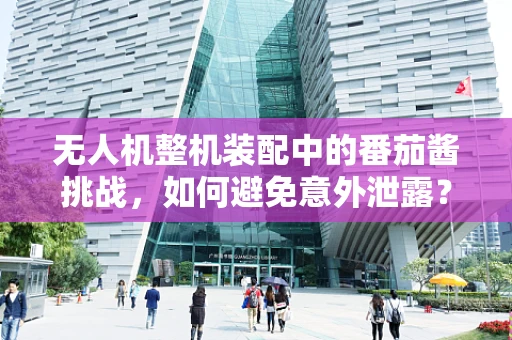 无人机整机装配中的番茄酱挑战，如何避免意外泄露？