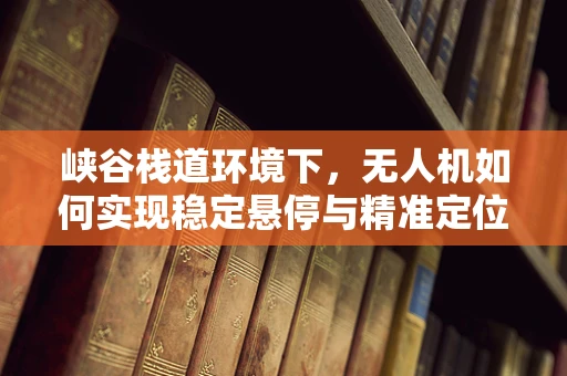 峡谷栈道环境下，无人机如何实现稳定悬停与精准定位？