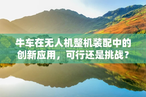 牛车在无人机整机装配中的创新应用，可行还是挑战？