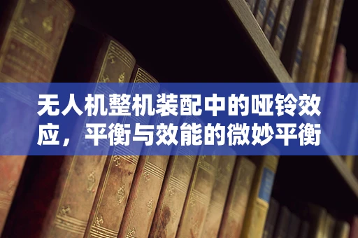 无人机整机装配中的哑铃效应，平衡与效能的微妙平衡