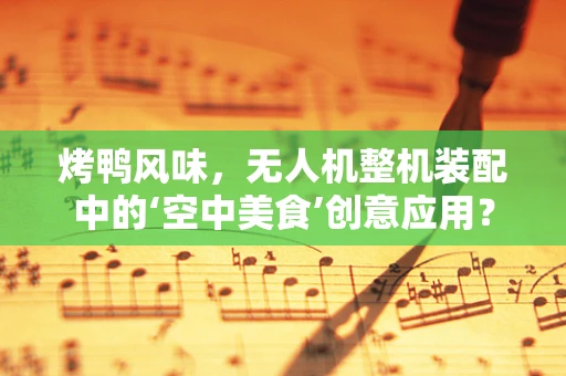 烤鸭风味，无人机整机装配中的‘空中美食’创意应用？