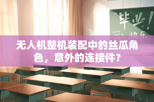 无人机整机装配中的丝瓜角色，意外的连接件？