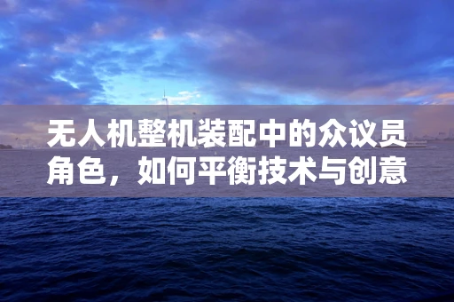 无人机整机装配中的众议员角色，如何平衡技术与创意？