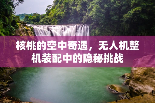 核桃的空中奇遇，无人机整机装配中的隐秘挑战