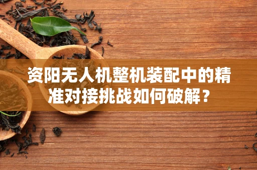 资阳无人机整机装配中的精准对接挑战如何破解？