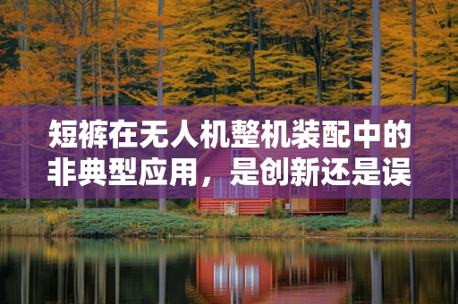 短裤在无人机整机装配中的非典型应用，是创新还是误用？