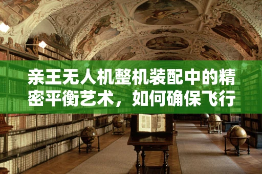 亲王无人机整机装配中的精密平衡艺术，如何确保飞行稳定？