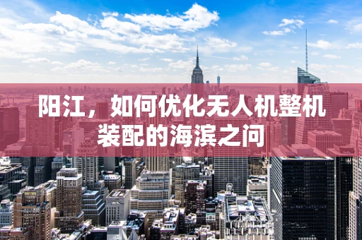 阳江，如何优化无人机整机装配的海滨之问