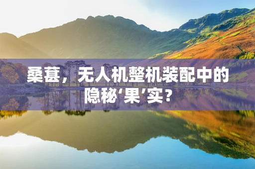 桑葚，无人机整机装配中的隐秘‘果’实？