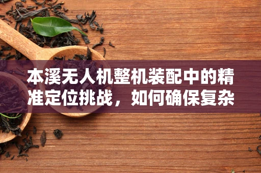 本溪无人机整机装配中的精准定位挑战，如何确保复杂环境下的高效装配？
