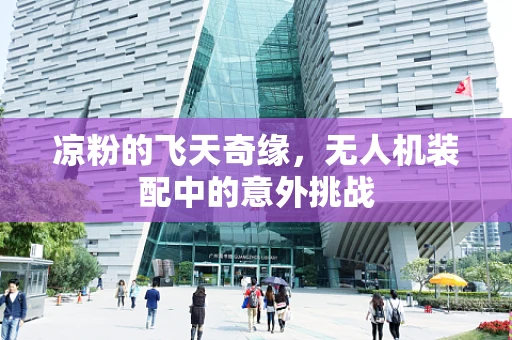 凉粉的飞天奇缘，无人机装配中的意外挑战