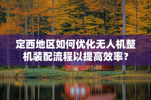 定西地区如何优化无人机整机装配流程以提高效率？