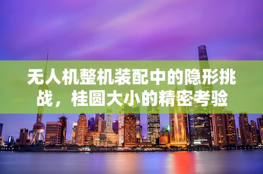无人机整机装配中的隐形挑战，桂圆大小的精密考验